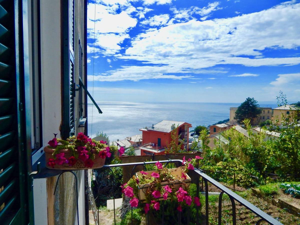 Le Giuee Hotel Genova Kültér fotó