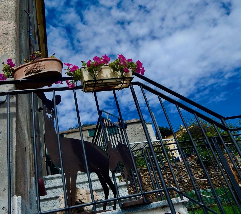 Le Giuee Hotel Genova Kültér fotó